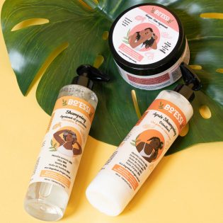 starter pack routine cheveux crepus